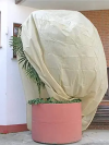 Hydrogarden Winter Plant Fleece Frost Protection Plant Protection Cover - Image 3
